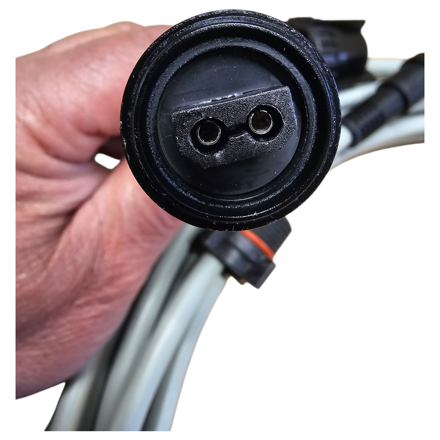 Nahaufnahme eines schwarzen elektrischen Steckverbinders mit zwei Metallstiften.