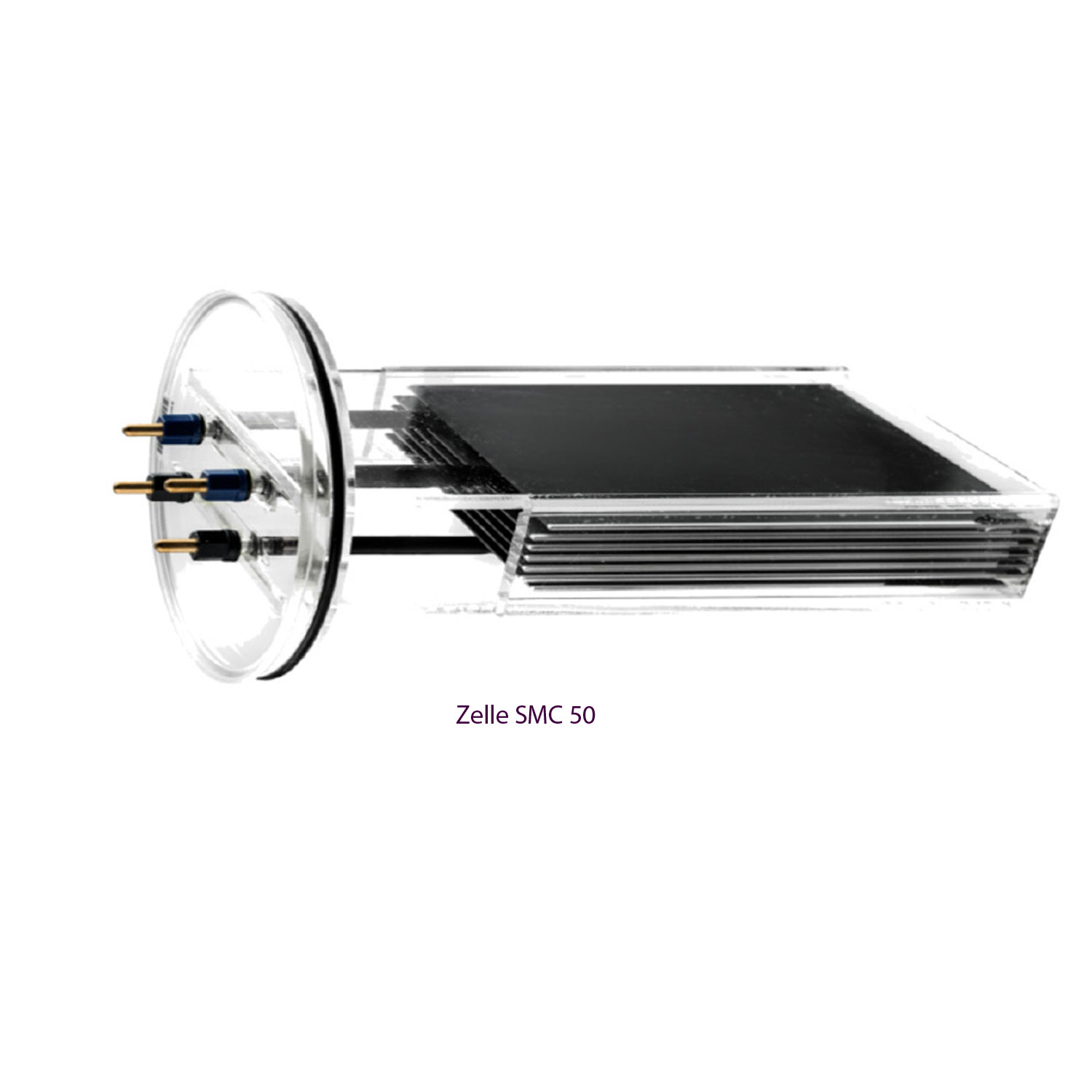 zelle-smc-50pGQxNtyyO2tn2